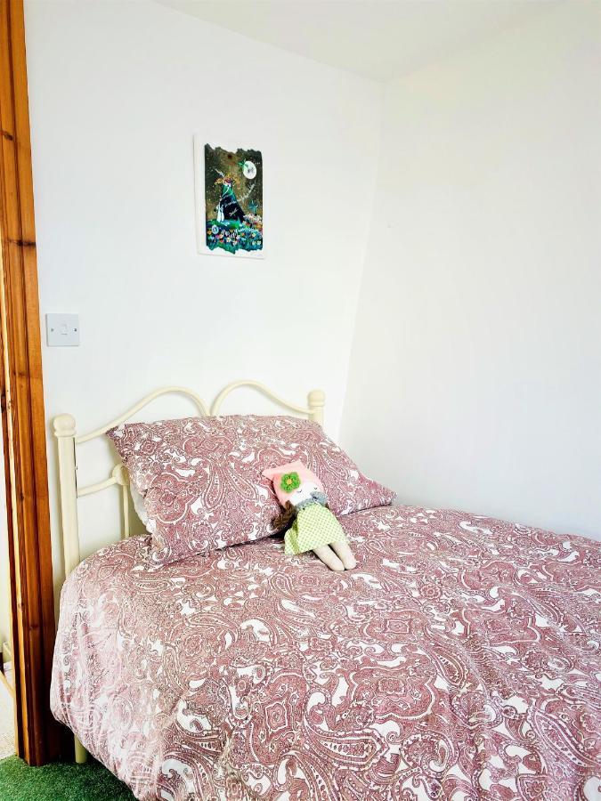 Higher Primrose Cottage Winkleigh Екстер'єр фото