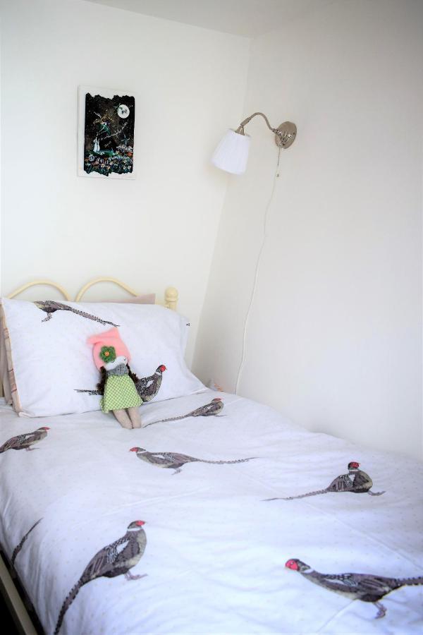 Higher Primrose Cottage Winkleigh Екстер'єр фото
